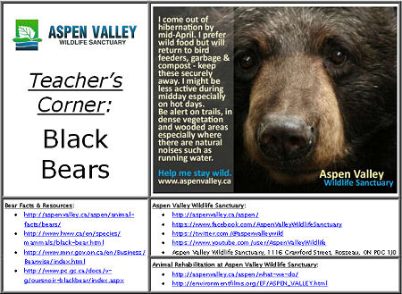 teacher-resource-sample-screen-cap